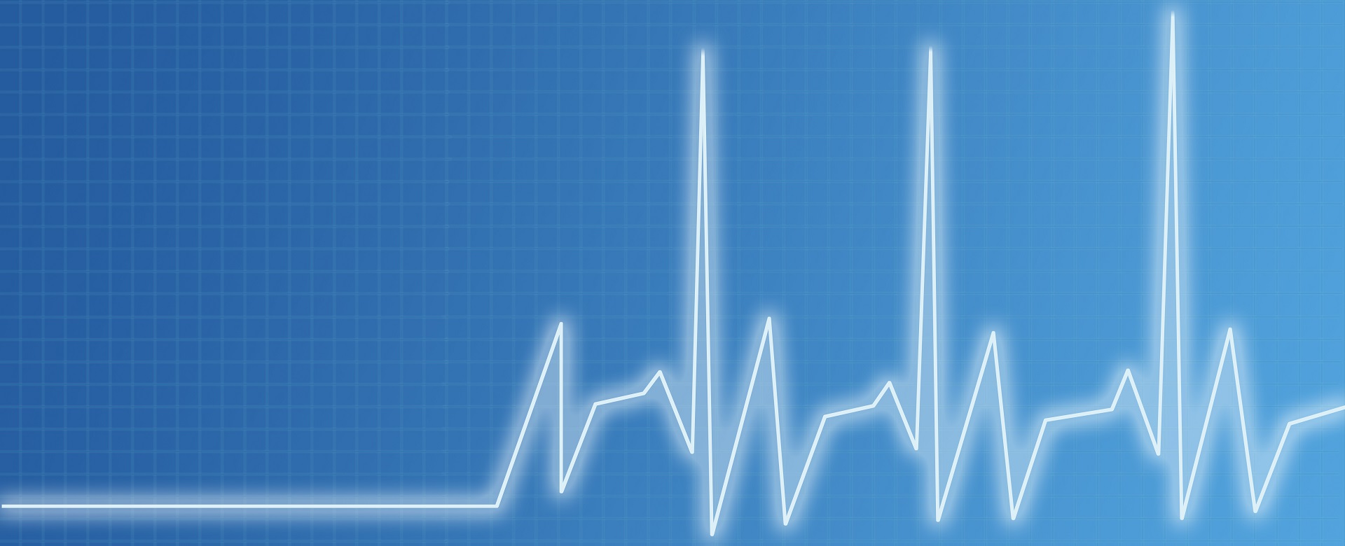 Datamed ECG Translators